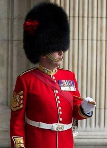 WO1 (GSM) Andrew 'Vern' Stokes, Coldstream Guards