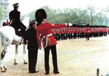 The Garrison Sergeant Major oversees all military ceremonial in the London District of the Household Division of the British Army