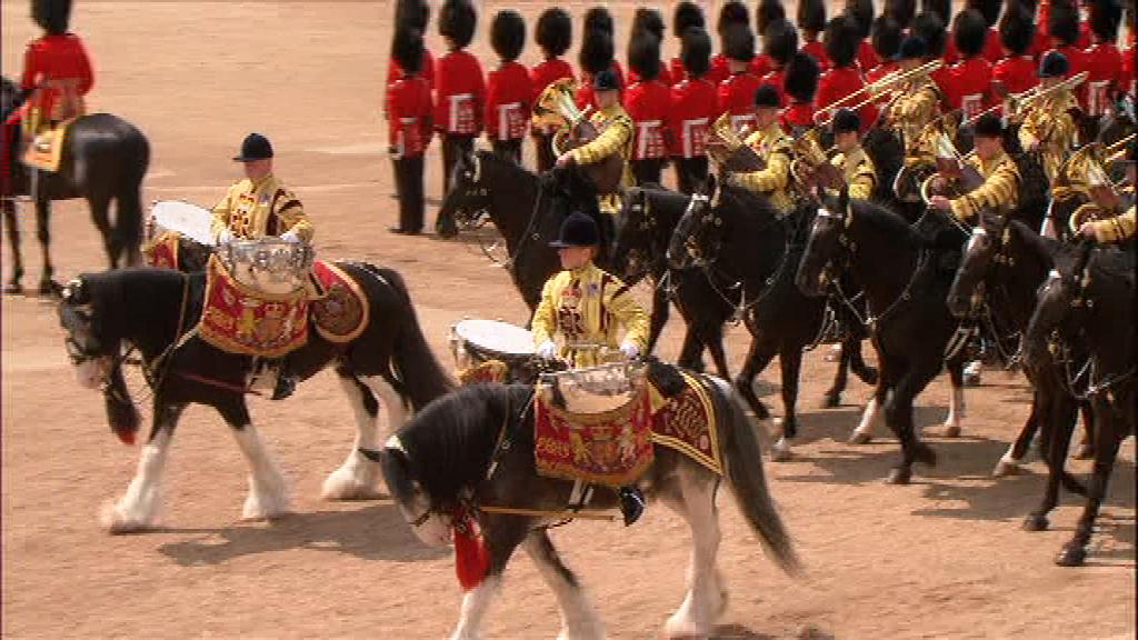 The Drum Horses of The Household Cavalry Mounted Band