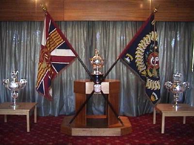 The Regimental Colours of The Light Infantry